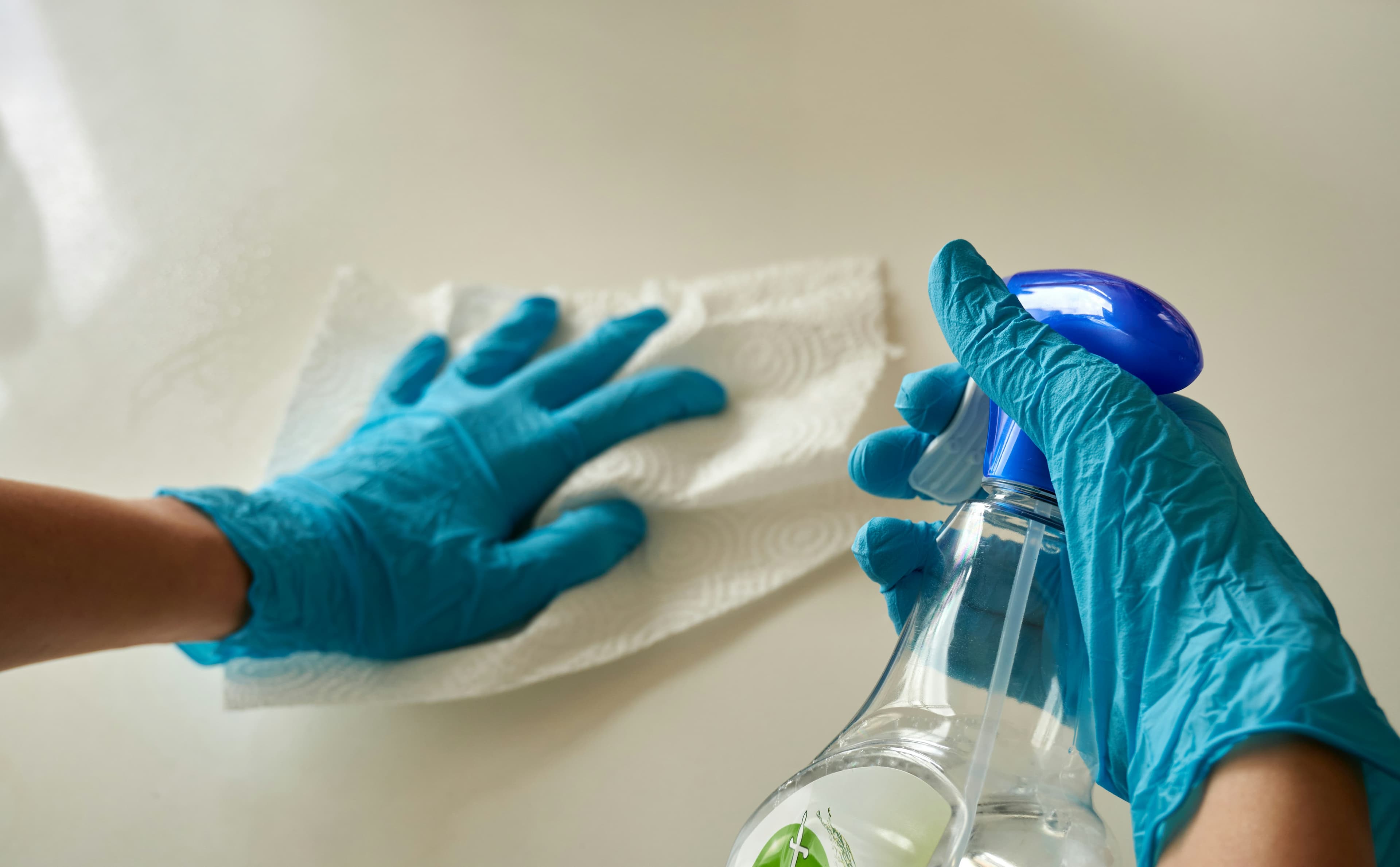 Standard Cleaning - Image 1
